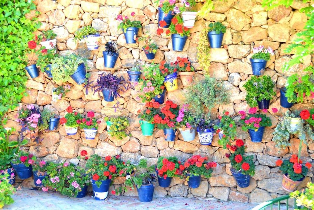 Vila Casita Tranquila Almería Exteriér fotografie